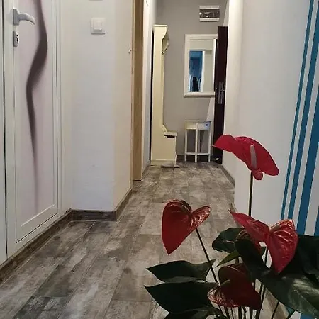 Apartment Apartament Sanny *